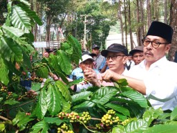 Aset Jember Satu Ini Sempat Eksis, Wabup Jember: 2019 Bisa Ekspor