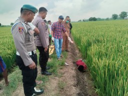 Seorang Pria Ditemukan Tewas di Area Persawahan Gresik