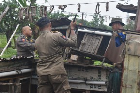 Berantas Judi Merpati, Satpol PP Surabaya Bongkar Bekupon di TPU Rangkah
