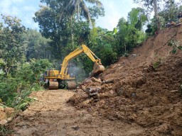 135 Petugas Gabungan Cari 6 Korban Longsor di Trenggalek, Hadapi Medan Sulit