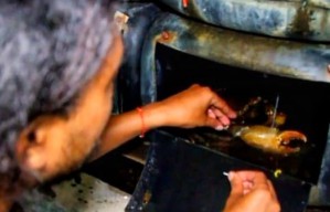 Pemuda Sidoarjo Sukses Budidaya Kepiting Jumbo di Jeriken