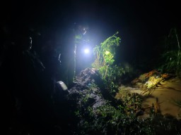 Ibu dan Anak Hilang Diduga Terseret Arus Sungai di Tulungagung