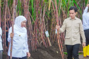 Moment Gubernur Khofifah Janjikan Swasembada Gula pada Wapres Gibran