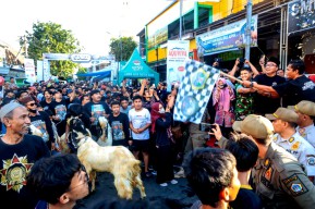 Melihat Lomba Arak-arakan Kambing, Tradisi Unik Idul Adha di Kalitutup Gresik