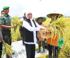 Produksi Padi Jatim Siap Wujudkan Swasembada Pangan Nasional