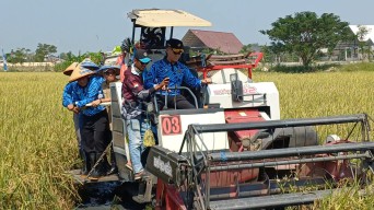 Panen 9 Ton Padi, Lapas Kelas II Lamongan Implementasikan Program Ketahanan Pangan