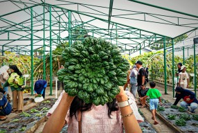PAE Diharapkan Jadi Magnet Generasi Muda Kembangkan Sektor Pertanian
