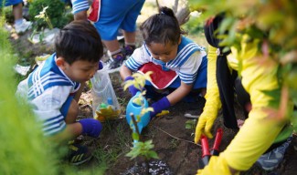 Anak-anak Surabaya Ikuti Aksi Bersih dan Tanam Sayur Bersama Pelindo 3