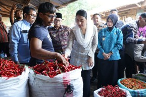 Wamendag dan Wali Kota Kediri Tinjau Pasar Grosir Ngronggo, Singgung Kolaborasi Revitalisasi