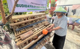 Taman Zakat Luncurkan Taman Gizi, Budidaya Ayam Petelur untuk Perkuat Ketahanan Pangan Keluarga