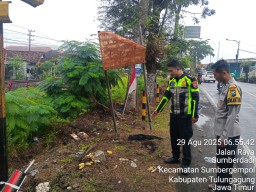 Tabrak Pohon Asem, Pemotor di Tulungagung Tewas