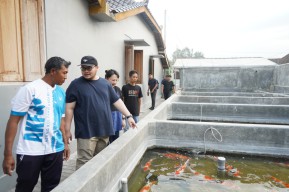 Nilai Ekonomis Capai Rp700 Miliar, Pemkab Kediri Bakal Gelar Kediri Koi Show 12