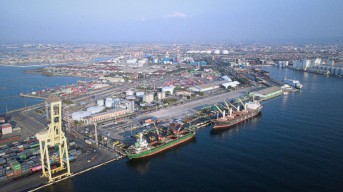 Trafik Kargo Pelindo Multi Terminal Melonjak di Semester I 2025