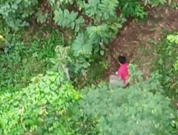 Penumpang asal Surabaya Nekat Loncat saat KA Probowangi Melaju Kencang di Jember