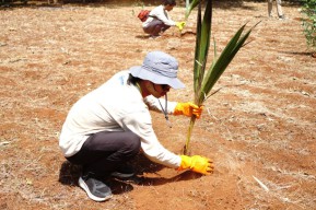 FTMM Unair Rehabilitasi Lahan Kritis Gili Iyang