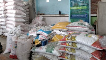 DKPP Kota Kediri Bakal Tindak Tegas Oknum yang Menaikkan Harga Pupuk Subsidi