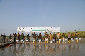Hijaukan Pesisir Pantai, Pelindo Regional 3 Tanam 147.400 Bibit Mangrove di Bangkalan