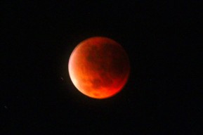 Potret Gerhana Bulan Total atau Blood Moon di langit Gresik