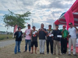 Melihat Keseruan Festival Layangan Sambitan Bupati Cup Jember
