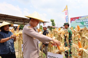 Polres Tulungagung Gelar Panen Raya Jagung Kuartal III