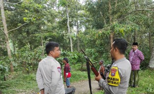 Monyet Liar Serang Warga Jember, 6 Warga Alami Luka
