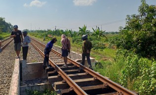 Hendak ke Sawah, Petani di Lamongan Tewas Tertabrak Kereta Api