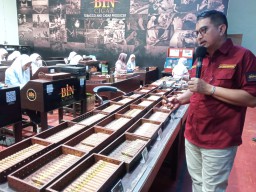 Cerutu Produksi Jember Berhasil Menembus Pasar Internasional