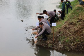 Jaga Ekosistem Sungai, Polres Tulungagung Tebar 5.000 Benih Ikan Tombro