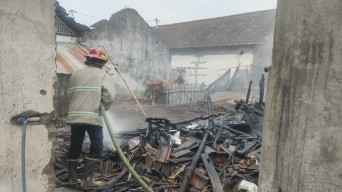 Satu Kandang Sapi di Kediri Kebakaran, Diduga Akibat  Pembakaran Diang