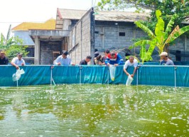 Kolam Bioflok Pertamina Tingkatkan Ekonomi Petani Gresik