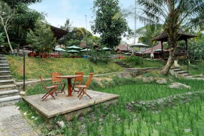 Liburan Singkat di Malang? Kopi Kalibrantas Wajib Masuk List!