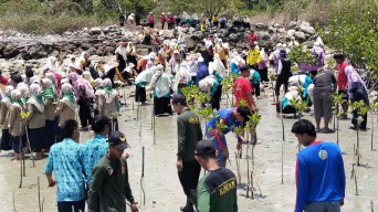 Gerakan Sadar Lingkungan, 1500 Mangrove Ditanam di Pesisir Pantura Lamongan
