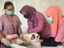 Peringati Hari Rabies Sedunia, Disnakeswan Tulungagung Gelar Vaksinasi Gratis