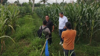 Dinilai Tak Berfungsi Baik Akibat Perumahan, DPRD Jember Cek Saluran Irigasi Pertanian
