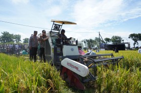 Pemkab Kediri Dorong Petani Mandiri Melalui Produksi Pupuk Organik-Hilirisasi Beras Premium