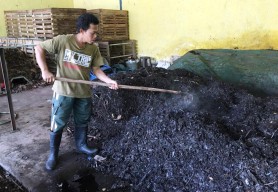 Kuli Bangunan Gresik Raup Jutaan dari Kompos, Ini Kisahnya!