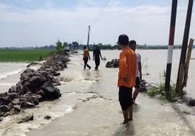 2 Waduk Meluap, Ratusan Hektar Sawah di Lamongan Terendam Banjir