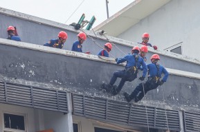 DPKP Surabaya Tangani 2.306 Evakuasi Sepanjang 2025, Dominasi Kasus Hewan