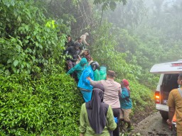 Mobil Wisatawan Terjun ke Jurang Gunung Bromo Malang, Dua Orang Tewas