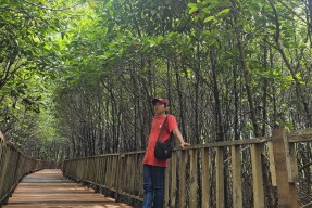 Potret Buram Wisata Mangrove Surabaya, Aset Nasional yang Terabaikan