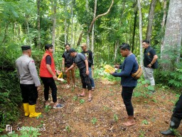 Polres Trenggalek Tetapkan Tersangka Kasus Temuan Mayat Bayi, Ini Motifnya