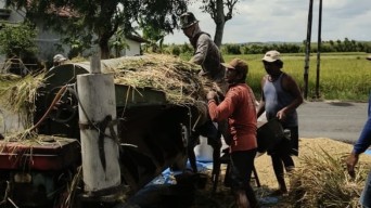 Masuki Panen 2026, Bulog Kediri Siap Serap Gabah Petani Sesuai HPP