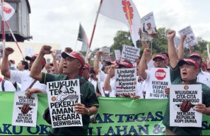 Konflik JCE-Blawan Berlarut, Pekerja Kebun Kopi Turun ke Jalan