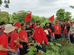 PDI Perjuangan Jember Tanam Pohon, Lambang Terciptanya Manusia Dengan Alam