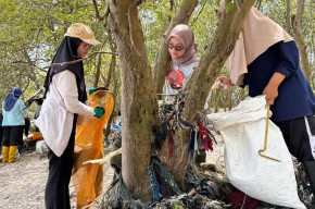 Mangrove Wonorejo Tercekik Plastik, Ecoton Angkat 300 Kg Sampah