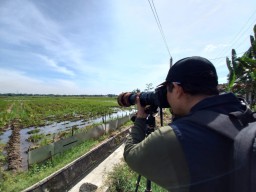 Mahasiswa di Tulungagung amati jalur migrasi burung dari Cina dan Rusia