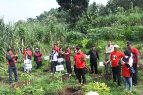 Kado Ultah Megawati, DPC PDIP Tulungagung Tanam Pohon Kopi dan Lepas Burung
