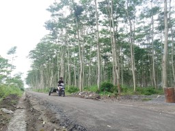 Progres Proyek Jalan Tembus 1.657 Meter TMMD ke-127 di Kediri Capai 60 Persen