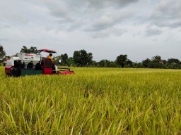 Distribusi Pupuk 2026 di Kediri Dipastikan Aman, Alokasi Naik Signifikan