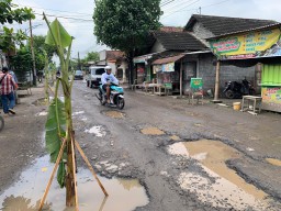 Perbaikan Lamban, Warga di Tulungagung Tanami Jalan Rusak Dengan Pohon Pisang